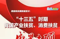 税收大数据带你看：产业扶贫、消费扶贫结硕果！