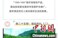 福建省联合驻欧盟使团在国外新媒体平台推介闽茶