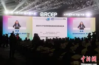 RCEP生效在即 专家：福建应发挥侨优势积极融入RCEP