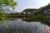春潮激荡新福建：沙县小吃“出山”又“出海”