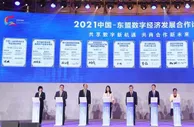 2021中国—东盟数字经济发展合作论坛在武汉开幕