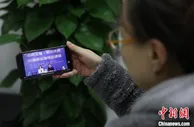 为求职者“精准导航” 川渝推动职业指导服务协同发展