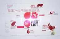 再创纪录！这株“杂草”竟是守护我们饭碗的“法宝”