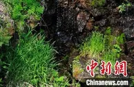 吉林白山激活水资源 让奔涌山泉产出“黄金效益”