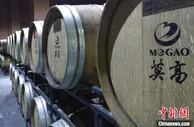 甘肃河西走廊有机葡萄酒成连接陇商“亲情纽带”
