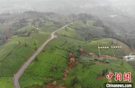 贵州建成县乡公路15127公里 以路为媒助推乡村振兴