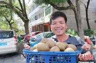 浙江永嘉乡贤返乡乐当“新农人” 带动村民一起富