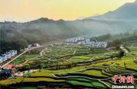 【网络媒体革命老区行】福建建宁生态产业集聚：老区山水如画 农林点绿成金
