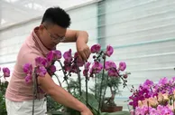 花卉+文旅 宁夏银川探寻“沉浸式”赏花之路