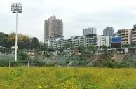 时过境迁，昔日重庆队主场已成“草场”&球场改造事宜未有进展