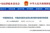 热议赛艇协会主席刘爱杰被查：不止足球，但有着千丝万缕的联系