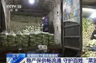 辽宁各地稳产保供畅流通 全力守护百姓“菜篮子”