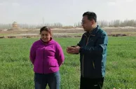 海水稻进入育秧期 种植三年改造新疆300亩盐碱地