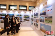 长江经济带省市政协武汉共商生态保护绿色发展
