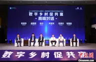 乡村振兴“换道超车”新路径：以数字乡村促共同富裕