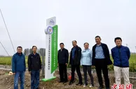 科技服务助力乡村振兴 江苏丰县大沙河畔荒地变良田