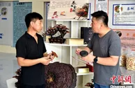 江苏沛县大沙河畔农业重大项目成为乡村振兴强力引擎