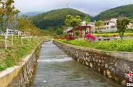 【网络媒体革命老区行】湖南宜章小山村由“黑”变“绿” 再回山青果肥