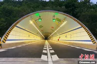 广东云茂高速通车 2000吨三华李陆续运往珠三角