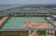 广东自贸区南沙片区全力推动营商环境创新发展