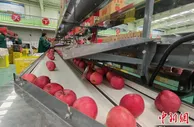 甘肃静宁引海外果品分选系统 “单果贴码”精准对接客户需求