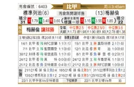 [比甲] 标准列日 VS 梅赫伦