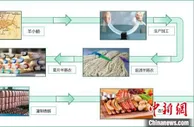 给肉肠穿上好衣 甘肃国产“羊肠衣”征服欧亚餐桌