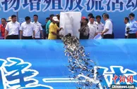 长三角区域聚焦水资源修复：共推一体化 太湖扬清波