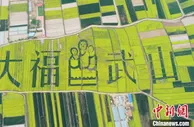 甘肃天水培育“短平快”产业：户有致富门路 人有增收技能