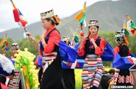 西藏油菜花海：以花为媒 领略高原之美