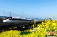 西安局重联多趟动车组 开行高铁“赏花”列车