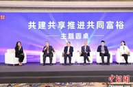 实现共同富裕，中国如何汇聚“拾柴之力”？
