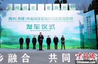 四川丹棱：340吨中高端绿茶出口乌兹别克斯坦