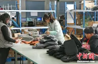 浙江探路先行拥抱RCEP 激活发展动能谋加速跃变