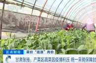 甘肃张掖：产菜区蔬菜因疫情积压 统一采销保障封控小区