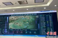 浙江自贸区发展如何“加油打气”？新晋玩家跑出新速度