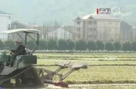 银保监会：加大对三大主粮生产和“菜篮子”工程信贷服务供给