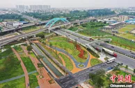 广州老旧国道蝶变十里绿廊