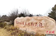 江苏阜宁黄河故道：“红+绿”跑出乡村振兴“加速度”