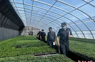 甘肃河西走廊前4月出口种子逾2亿元 市场拓至40余国或地区
