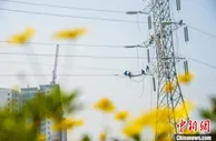 国网重庆电力年售电量首次突破千亿千瓦时