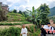 中国藤铁工艺第一乡：三年“长出”百家淘工厂
