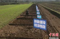 农业农村污染治理攻坚战实施成效评估陕西获“优秀”