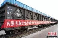 综述：疫情之下，“激活”北疆外贸节奏的中欧班列