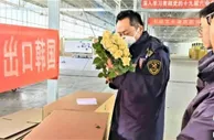 兰州新区构建花卉海外物流专线 鲜切玫瑰频拓国际市场