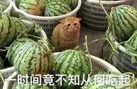 ⚽????足篮负面不断，吴兴涵、赌球假球、李梦.... ????