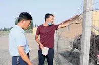 新疆兵团养殖户：养殖鸵鸟觅“钱”景 “鸵”起致富梦