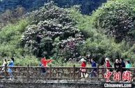 四川税收数据显示：“五一”消费整体“升温” 城市公园最“热”