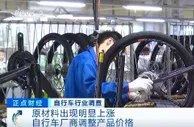 自行车迎“大流行”价格要涨？这个新风口赚钱吗？