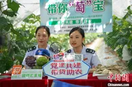 广东：八项税务举措助力乡村振兴开新局